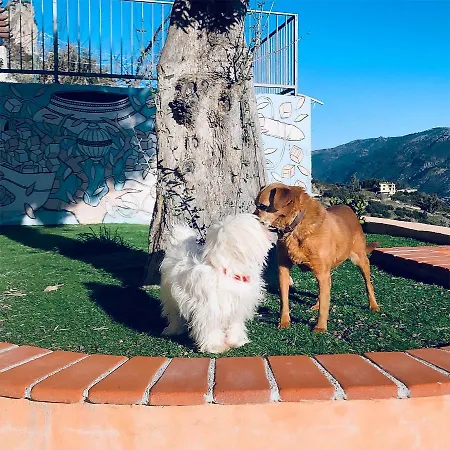 Charlie Sardinia * Ulassai
